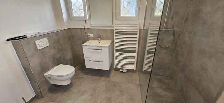 Bad mit Walk-In-Dusche – Graue Großformatfliesen